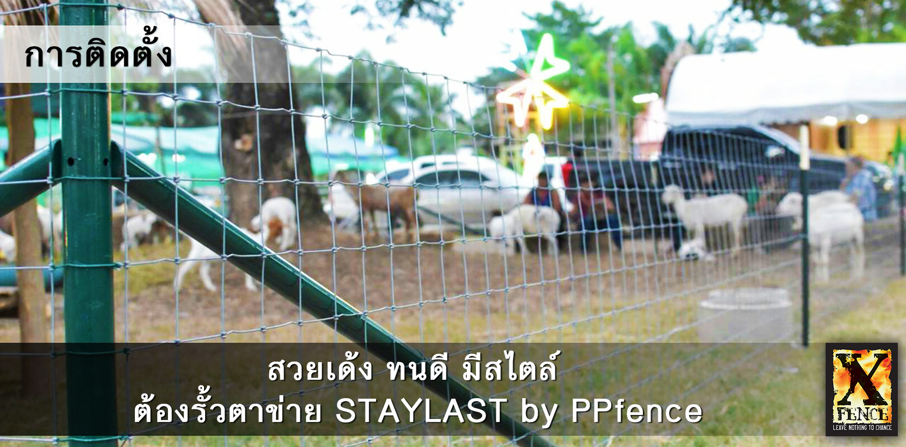 การติดตั้ง staylast