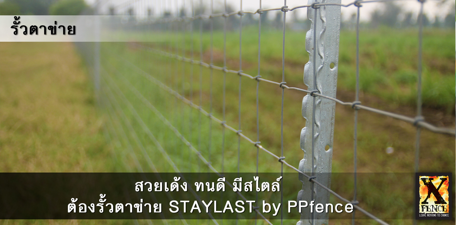 รั้วตาข่าย staylast