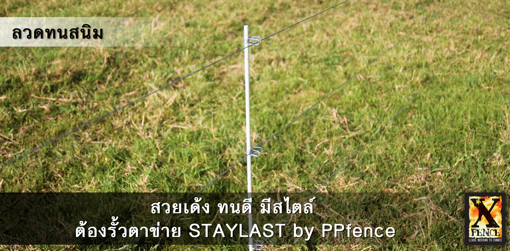 ลวดทนสนิม staylast